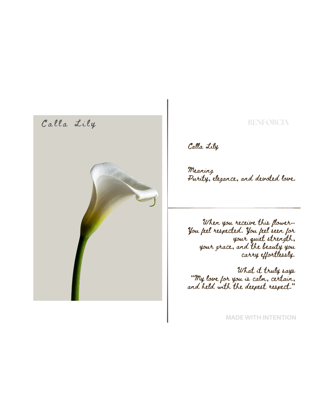 The Language of Devotion — Digital Collection