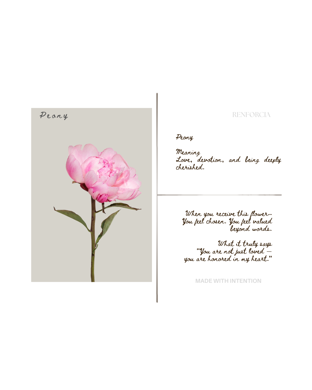 The Language of Devotion — Digital Collection