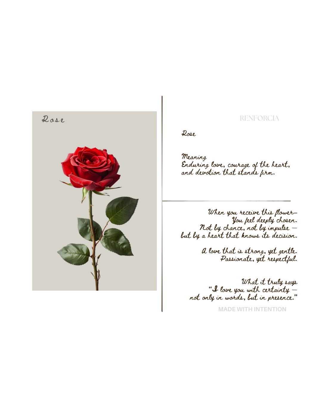 The Language of Devotion — Digital Collection