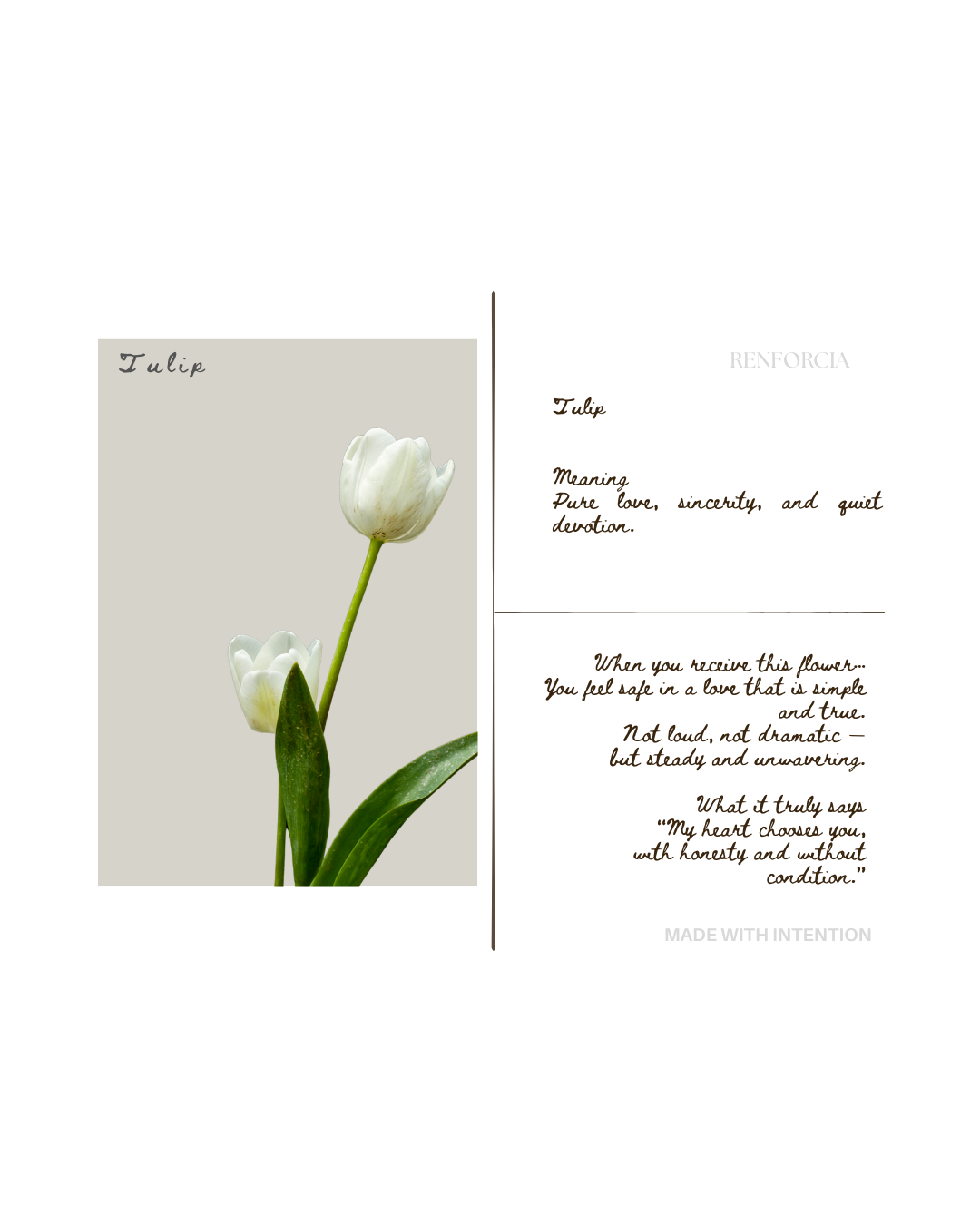 The Language of Devotion — Digital Collection